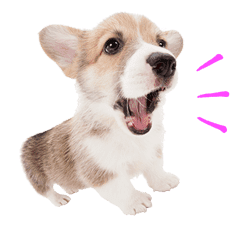 THE DOG sticker #11657861