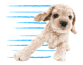 THE DOG sticker #11657863