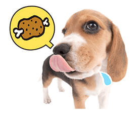 THE DOG sticker #11657865