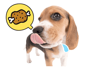 THE DOG sticker #11657865