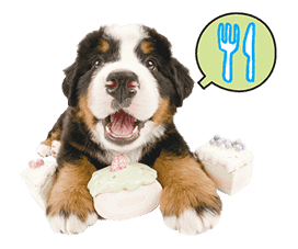 THE DOG sticker #11657866