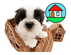 THE DOG sticker #11657867