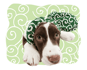 THE DOG sticker #11657869