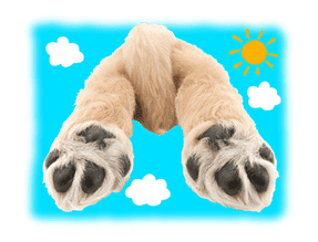 THE DOG sticker #11657870