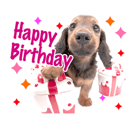 THE DOG sticker #11657871