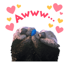 Finding Dory Stickers sticker #12233106