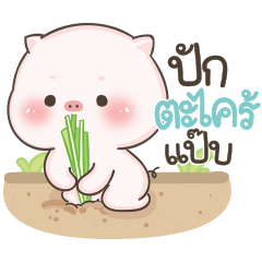 พิกกี้ เริงร่าหน้าฝน