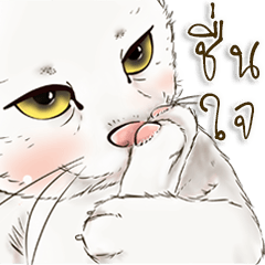 ทิชชู่ แมวน้อยน่ารัก