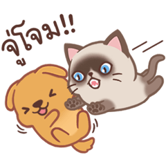 โฮ่ง & เหมียว : เคียงข้างกันไปจนสุดทาง