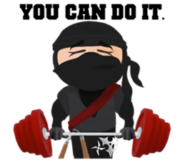 Ninja Lifestyle sticker #785955