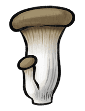 Nameko’s Harvest Festival sticker #5322