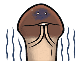 Nameko’s Harvest Festival sticker #5329