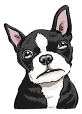 P.S. I Love Dogs sticker #53121