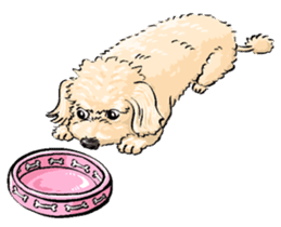 P.S. I Love Dogs sticker #53128