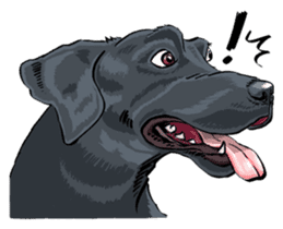 P.S. I Love Dogs sticker #53153