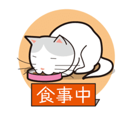 Love of Cat sticker #54004