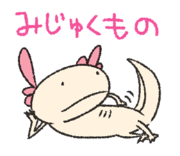 We are Axolotl "Upa-san" sticker #57214