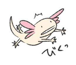 We are Axolotl "Upa-san" sticker #57216