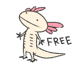 We are Axolotl "Upa-san" sticker #57217