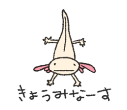 We are Axolotl "Upa-san" sticker #57222