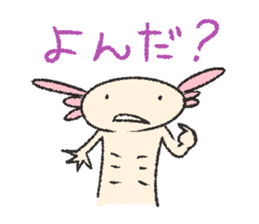 We are Axolotl "Upa-san" sticker #57233