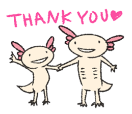 We are Axolotl "Upa-san" sticker #57234