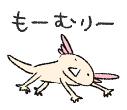 We are Axolotl "Upa-san" sticker #57245