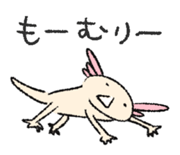 We are Axolotl "Upa-san" sticker #57245