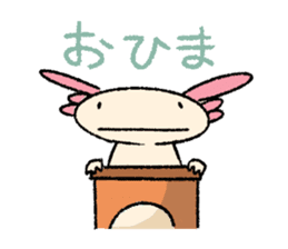 We are Axolotl "Upa-san" sticker #57248