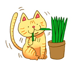 Haru-chan cat sticker #60225