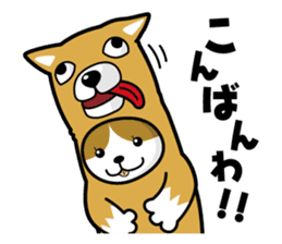 cat-dog sticker #63575