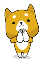 Kun-Kun sticker #64741