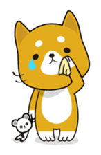 Kun-Kun sticker #64748