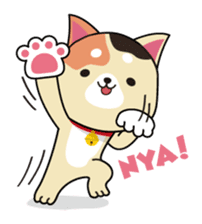 Kun-Kun sticker #64768