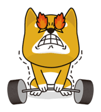 Kun-Kun sticker #64773