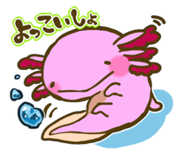 Cute animal sticker #64907