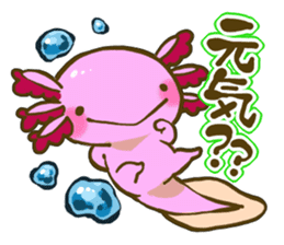 Cute animal sticker #64918