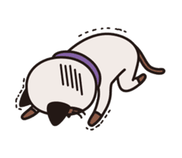 Siamie sticker #65339