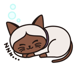 Siamie sticker #65359