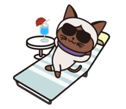 Siamie sticker #65372