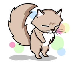 The Somali cat "MAX" sticker #69059