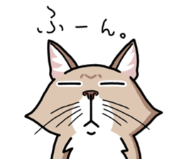The Somali cat "MAX" sticker #69060