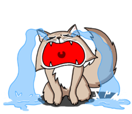 The Somali cat "MAX" sticker #69072