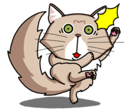 The Somali cat "MAX" sticker #69073