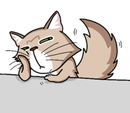 The Somali cat "MAX" sticker #69077