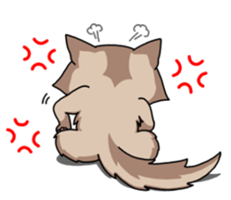 The Somali cat "MAX" sticker #69078