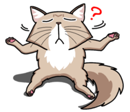 The Somali cat "MAX" sticker #69083