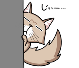 The Somali cat "MAX" sticker #69086