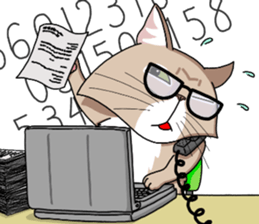 The Somali cat "MAX" sticker #69088