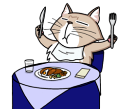 The Somali cat "MAX" sticker #69090